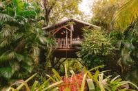 West Indies Cottage, cottages haut de gamme avec piscine, jacuzzi et vue jungle - Chambres d'hôtes Pointe-Noire