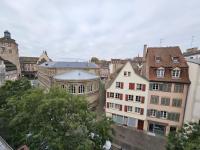 Spacieux 2 pièces hypercentre - Bed and Breakfast Straatsburg