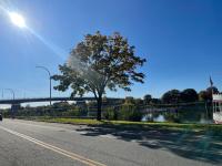 The love loft on the waterfree parking downtown - Bed and Breakfast
