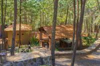 Chateaux de mi Sierra Encantada - Cabaña privada y acogedora de 3 habitaciones en Mazamitla, Jal para 10-13 Personas - B&B Mazamitla