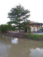 Arau Pulau Hilir Home - B&B