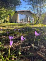 Margo atelier - B&B