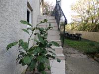 Maison cosy - Entre les deux collines - Bed and Breakfast
