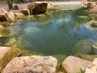 Casa Verde Off-grid hideaway Agnes Water 1770 - B&B Agnes Water