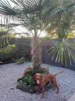 Pod at Lonan drive - B&B Oban