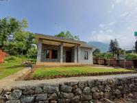 Daisy Homestay - B&B