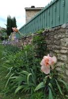 Terre d'oliviers - B&B