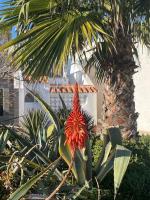 La Margarita Beach Apartment, Club Tropicana - Ferienwohnung Roquetas de Mar