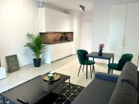 New Apartment Szybowcowa trzy stawy centre Katowice - B&B Katowice