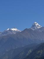 Gaonvasi Homestay - B&B