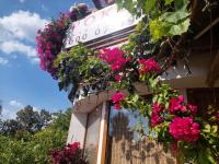 Zakątek nad jeziorem Ełk - B&B Ełk