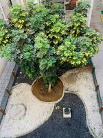 DEPTOS LA SERENA - B&B