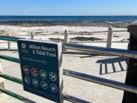 Seapoint Pearl - B&B Ciudad del Cabo