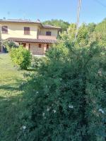 il boschetto da Tiziana - B&B Badia al Pino