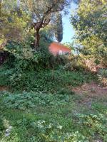 Robin Hood - Ferienwohnung Akrotíri