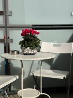 Urban Chic House - B&B