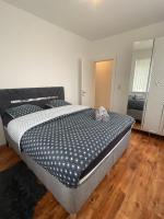 La Belle Licorne - B&B Saverne