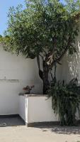 The Cosy Nest - B&B Pignataro Maggiore