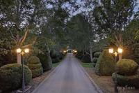 Heart of a lion - B&B Monbulk