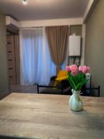 New Borjomi27 Apartment - B&B Borjomi