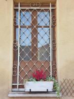 Casa Magenta - B&B