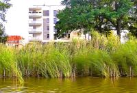 River View - widok na wodę, parking w hali, 3pok i 5 łóżek, klima, Netflix i Max, centrum - B&B