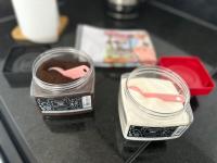 Flat Por do Sol - Chambres d’hôtes São Lourenço