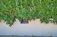 Appartement avec piscine - B&B Uzès