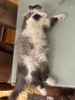 Luther Haus - Ferienwohnung Neuss