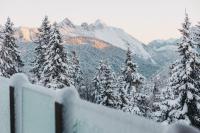 CHALET G12 - Mountain Luxury Apartments - Ferienwohnung Seefeld in Tirol