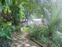 Finca El Tambor Nature Reserve, Lodging and Tours - B&B Antigua Guatemala