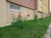Apartment with private entrance - B&B