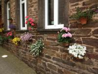 MOSELTEL Ernst,Cochem - B&B Ernst