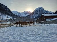 Apartamento de 1 dormitorio con cuarto de baño