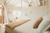 Studio Lit King-Size Deluxe