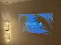 One-Bedroom Apartment with Table