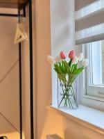 Camden Luxury Studio Flats and En-Suit Rooms - B&B Londra