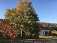 Gîte 8 chambres entre Reims et Epernay - La Chenevière - Gîtes Au Beau Sarrazin - B&B Fontaine-sur-Ay