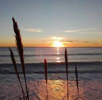 CASA Directa al MAR - B&B Benicarló