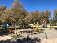 Apartman Ivka A1 - B&B Petrcane