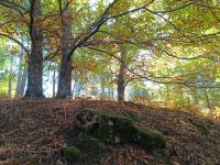EL BALCÓN PANORÁMICO DE GREDOS - Chambres d’hôtes