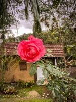 Camera Matrimoniale con Vista Giardino