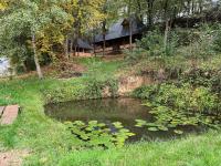 Căsuța de la vâltoare - Bed and Breakfast Vadu Izei