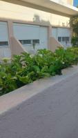 NN Rooms and Suites near Athens Airport - Ferienwohnung