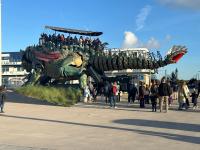 Le cocon de la plage - B&B Calais