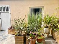 Jolie Mini Maison Lovely Tiny House - Ferienwohnung