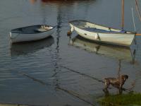 Appartement met 1 Slaapkamer