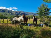 Cabaña Nutria - Bed and Breakfast Torres del Paine