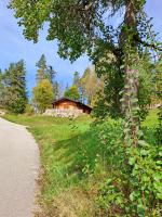 Chalet mit 2 Schlafzimmern