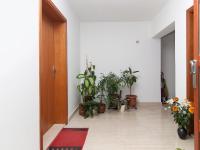 Apartments Ceja near sea - Bed and Breakfast Medulin